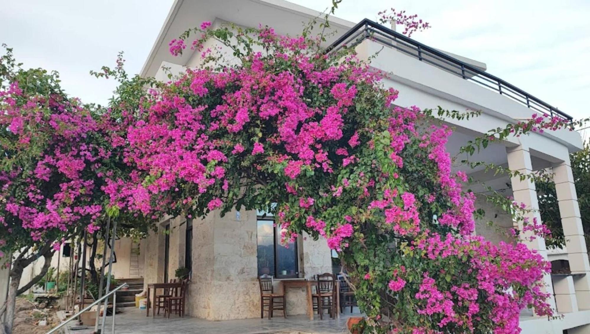 Glikanisos House Nipos - Ideal For Hikers And Families 2Bd, 6Pl 10Min To Beach Exteriér fotografie